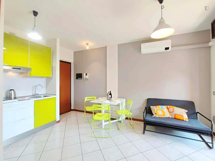 Appartamento monolocale in affitto in Via Luigi Manzotti, Milano