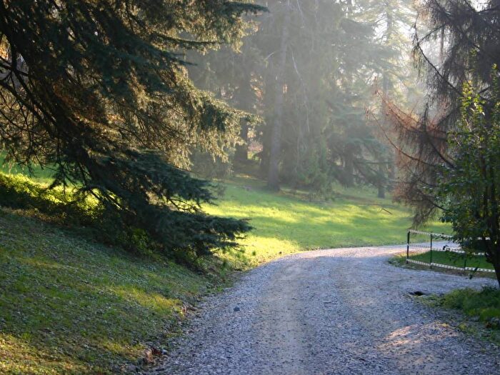 Appartamento bilocale in affitto in Strada Comunale Val San Martino, Superga, Torino