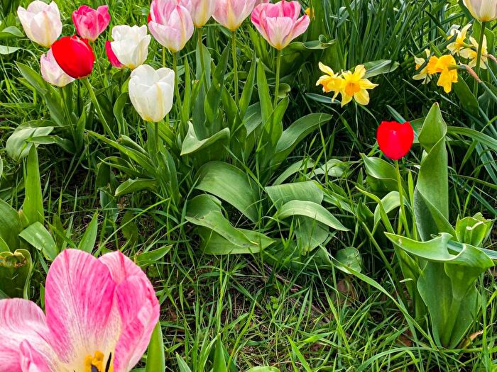 Casa con 5 locali in affitto in Via Tremmilia, Belvedere Tremmilia, Siracusa