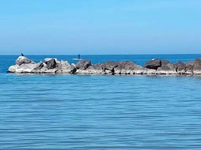 Appartamento trilocale in affitto in Viale Alcione, Centro, Francavilla al Mare