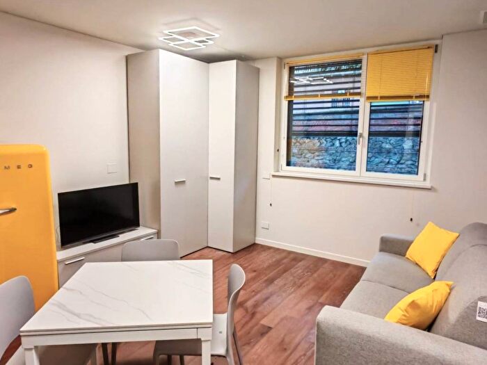 Appartamento monolocale in affitto in Corso Quintino Sella, Gran Madre Crimea, Torino