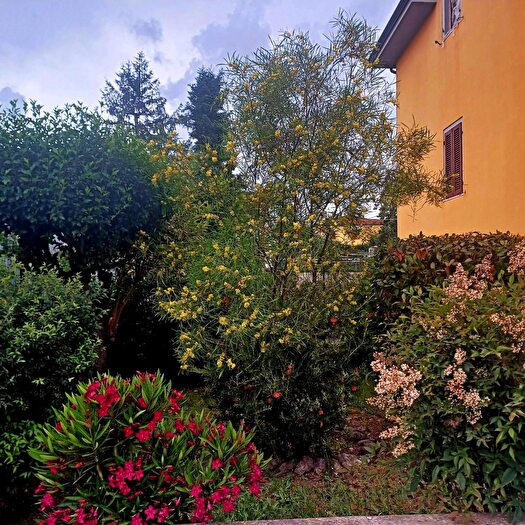 Casa con 12 locali in vendita in Santa Croce SullArno