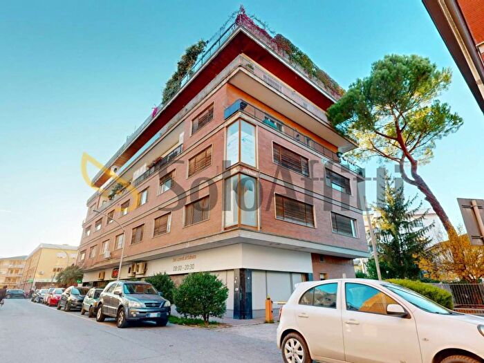 Appartamento quadrilocale in affitto in Via delle Ortensie, Rieti