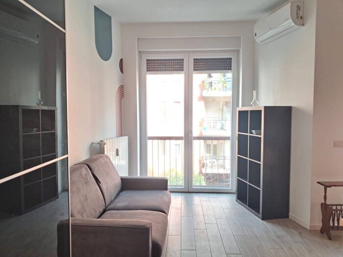 Appartamento monolocale in affitto in Via Pompeo Cambiasi, Casoretto, Milano