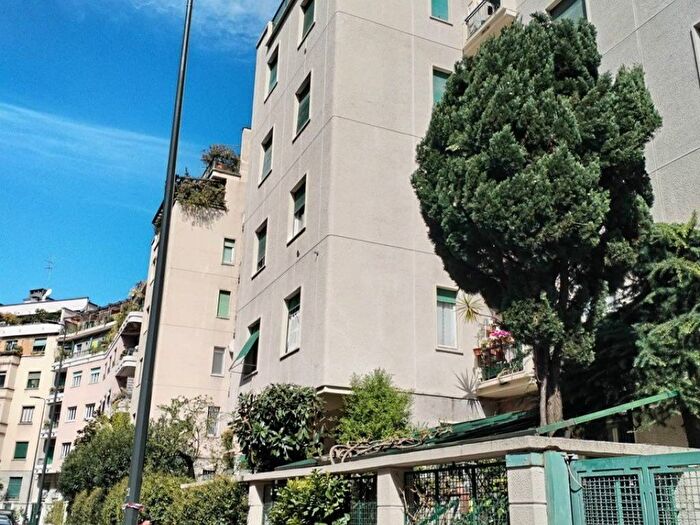 Appartamento quadrilocale in affitto in Via Carlo Gomes, Buenos Aires, Milano