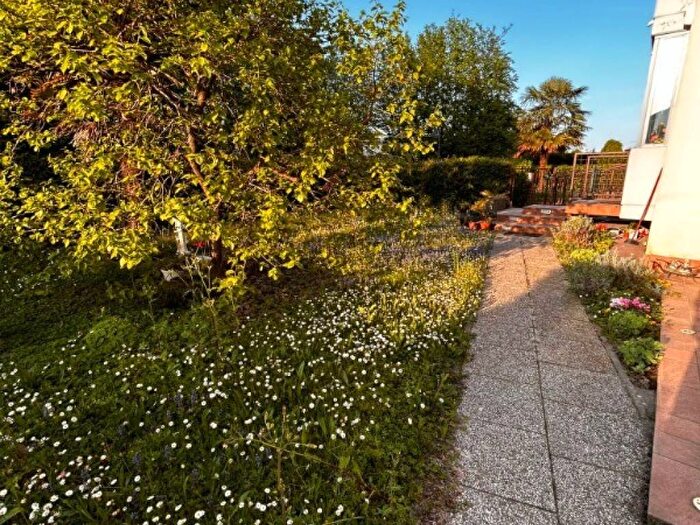 Appartamento con 6 locali in affitto in Centro, Dolo