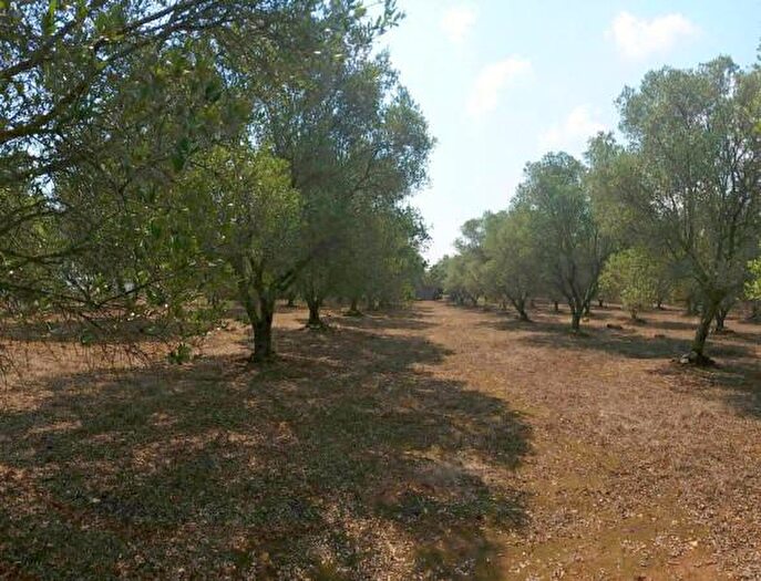 Casa bilocale in vendita in Sp, Tricase