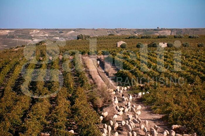 Casa in vendita in Strada Provinciale, Marsala
