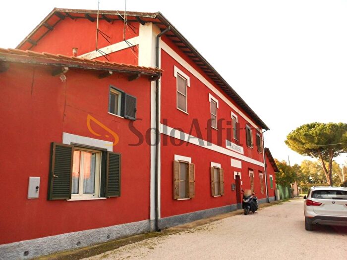 Appartamento monolocale in affitto in Viale di Campo Salino, Maccarese, Fiumicino