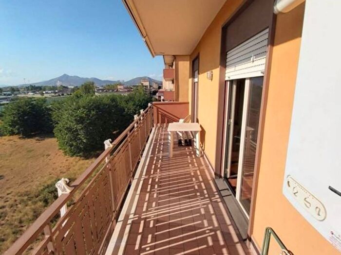 Appartamento bilocale in affitto in Viale Carlo III di Borbone, San Nicola la Strada