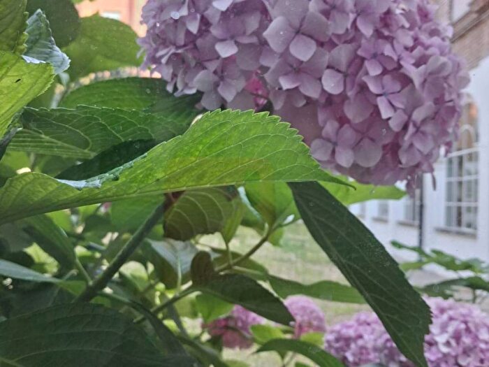 Appartamento quadrilocale in affitto in Vocabolo Castello, Pantalla, Todi