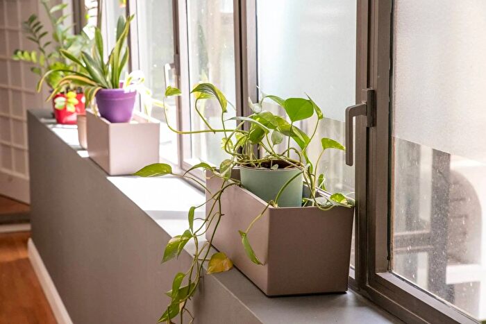 Appartamento con 6 locali in affitto in Campo De Fiori Roma, Roma