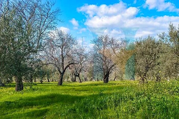 Casa in vendita in Noto