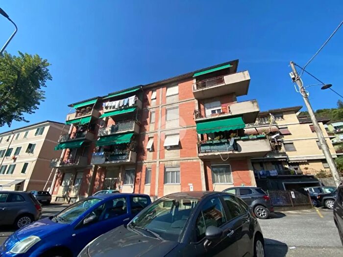Appartamento trilocale in affitto in Via Monfalcone, La Spezia