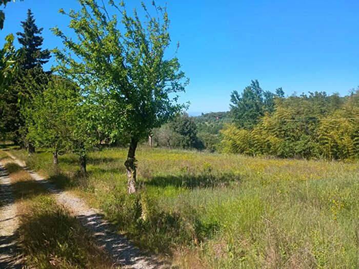 Casa con 5 locali in vendita in Via Nuova, Palaia