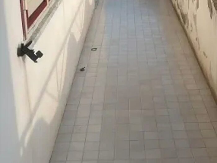 Appartamento trilocale in affitto in Viale Emilia, Catanzaro