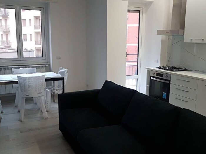 Appartamento bilocale in affitto in Viale Caterina da Forlì, Tripoli Soderini, Milano
