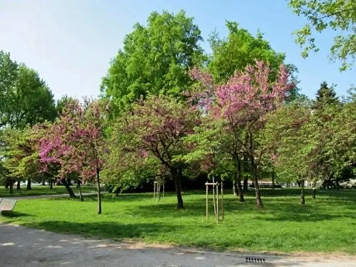 Appartamento con 6 locali in vendita in Milano