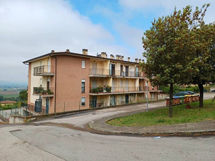 Appartamento trilocale in affitto in Molinello, Collazzone