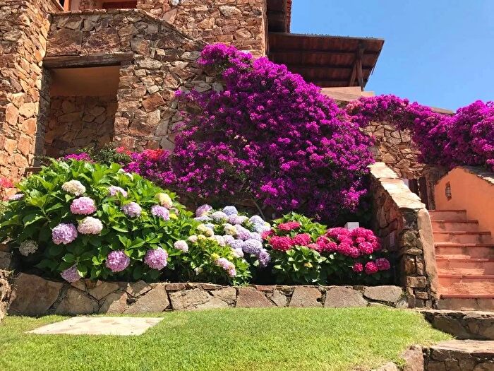 Appartamento trilocale in vendita in Via su Pinnone SNC, Olbia