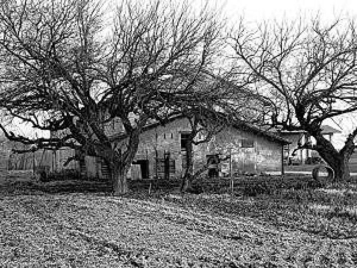 Casa trilocale in vendita in Via Dante Freddi, Reggio Emilia