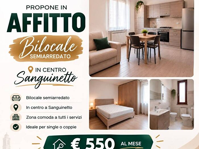 Appartamento bilocale in affitto in Centro, Sanguinetto