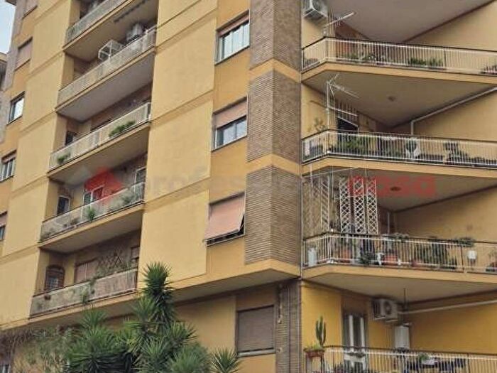 Appartamento quadrilocale in affitto in Via Firenze snc, America Latina, Frosinone