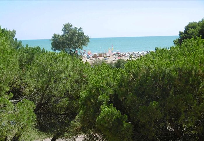 Appartamento trilocale in affitto in San Michele Al Tagliamento