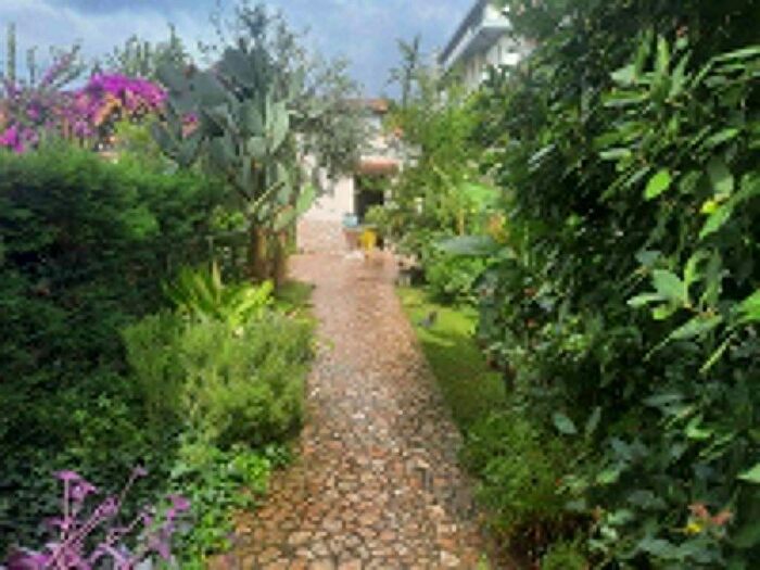 Appartamento con 5 locali in affitto in Porta a Mare Mazzini, Livorno