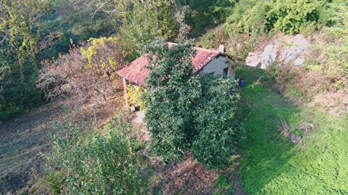 Casa trilocale in vendita in Strada delle Vigne, Montalto Dora