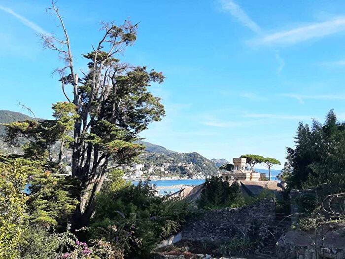 Appartamento con 6 locali in affitto in Via Privata Macera, Porto, Rapallo
