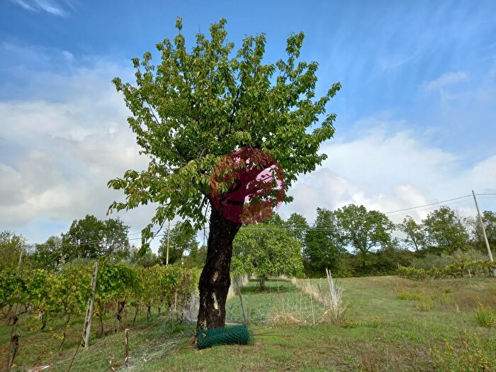 Casa in vendita in Borghi