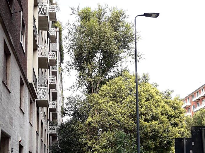 Appartamento quadrilocale in affitto in Viale Beatrice d'Este, Bocconi, Milano