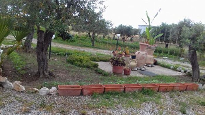 Appartamento quadrilocale in affitto in Via Procida, Sellia Marina