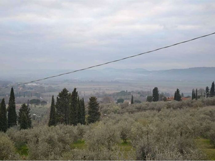 Appartamento bilocale in affitto in Lucignano