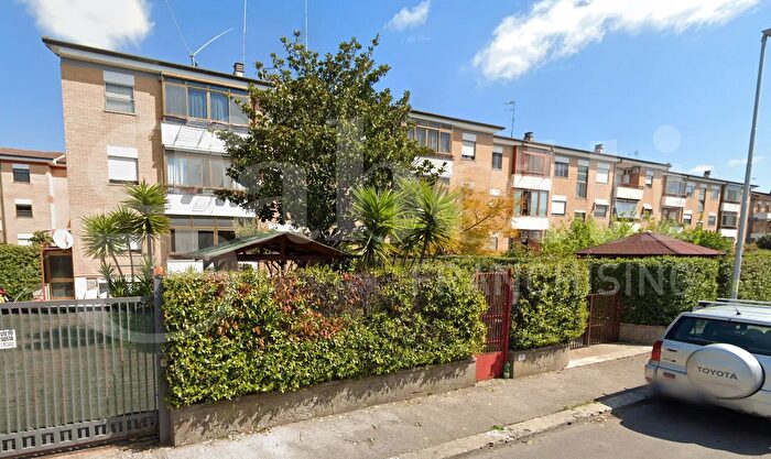 Appartamento quadrilocale in affitto in Via Amsterdam, Latina