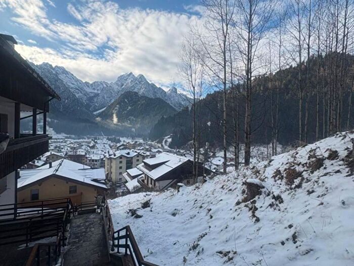 Appartamento quadrilocale in affitto in Via Ante, Santo Stefano di Cadore