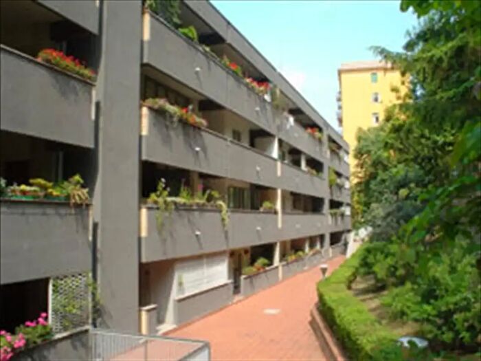 Appartamento trilocale in affitto in Via Federico Salomone, Chieti