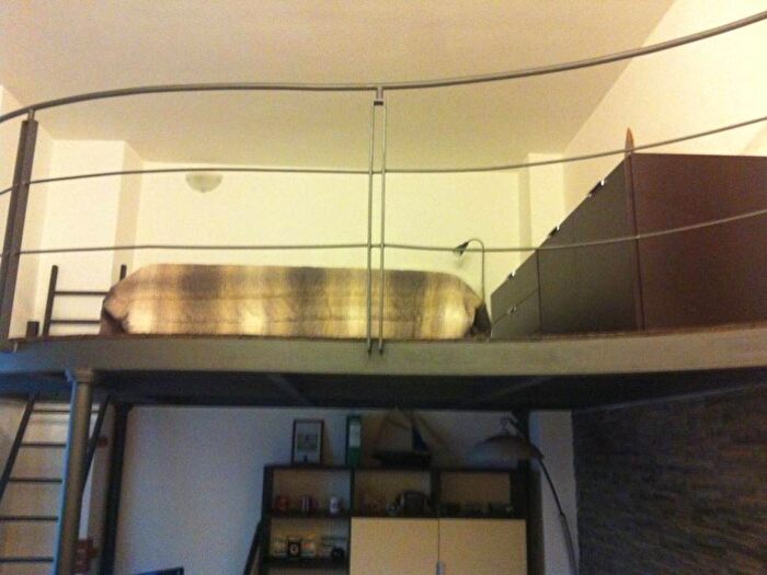 Appartamento monolocale in affitto in Via Giulia Molino Colombini, Ospedale Cottolengo, Pinerolo