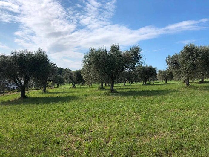 Casa con 5 locali in vendita in Civitanova Marche, Potenza Picena