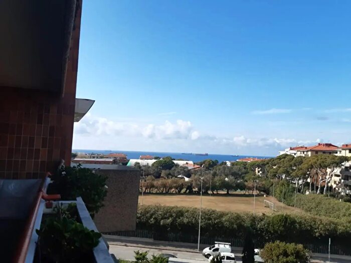 Appartamento bilocale in affitto in Livorno