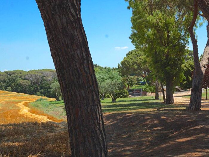 Appartamento bilocale in affitto in Via Portuense, Parco de Medici Muratella, Roma