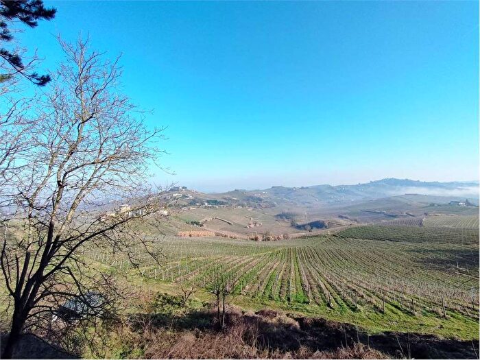 Appartamento bilocale in affitto in Castel Rocchero