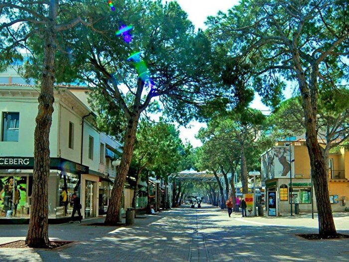 Appartamento trilocale in affitto in Viale Trento Trieste, Abissinia, Riccione