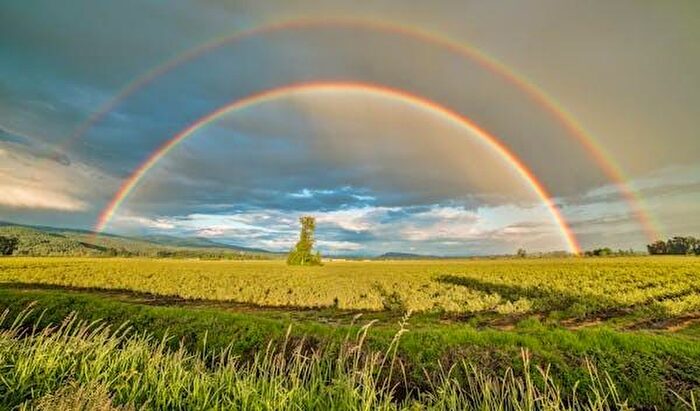 Casa con 6 locali in vendita in Castrocaro Terme