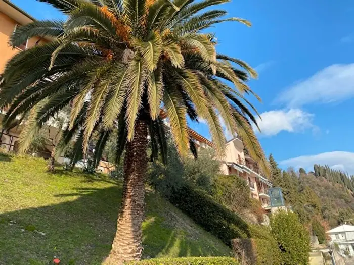 Appartamento trilocale in vendita in Toscolano Maderno, ToscolanoMaderno