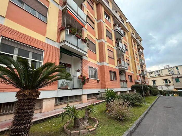 Appartamento trilocale in vendita in Via Bosco di Capodimonte, Napoli
