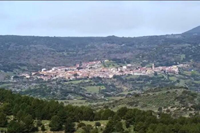 Casa monolocale in vendita in Via Tirso, Morgongiori