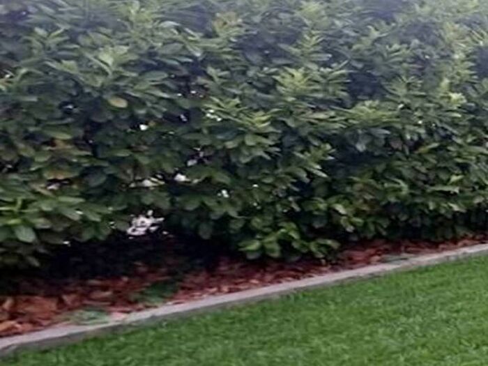 Appartamento bilocale in affitto in Viale Astichello, Viale Trieste Villaggio dei Fiori, Vicenza