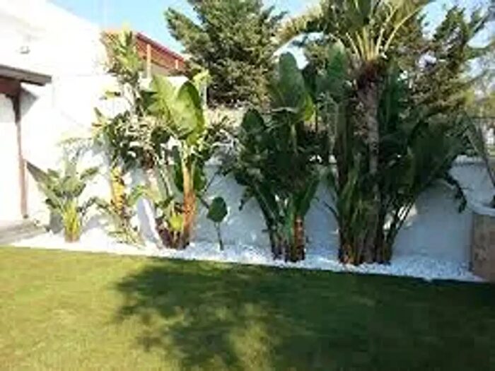 Appartamento quadrilocale in vendita in Via Pelosa, Rubano